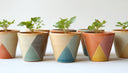 Plants
