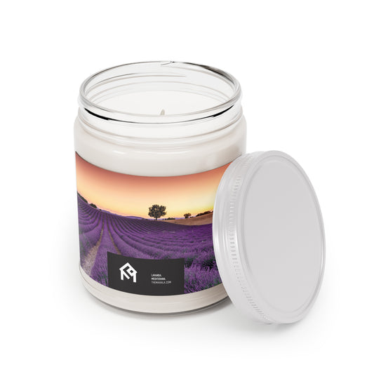 Scented Candles, 9oz