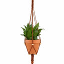 Hanging plant holder with a plant on a white background