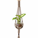 Hanging plant holder with a small plant on a white background